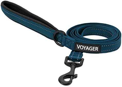 Best Pet Supplies Voyager Nylon Dog Leash - Blue, Large by BestPetSuppliesLLC