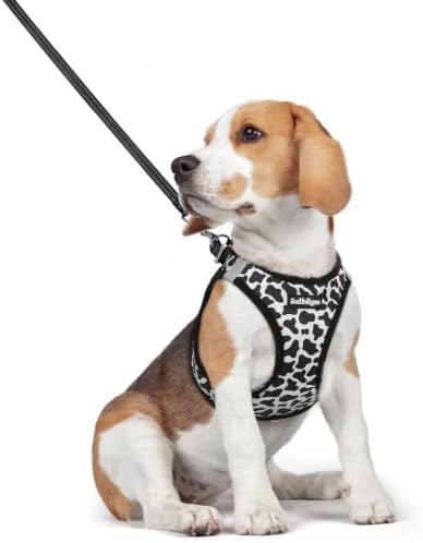 rabbitgoo Dog Harness Medium Sized and Leash Set, Step-in Puppy Pet Vest by rabbitgoo
