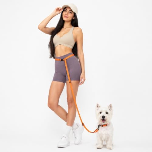 Kazazoo Hands-Free Dog Leash Adjustable Length 5-8 Ft, Waist for Dog Walking, Running for Small &Medium Dogs with Reflective Strips, Ballistic Nylon, Waist Belt, Lightweight Orange M by Kazazoo