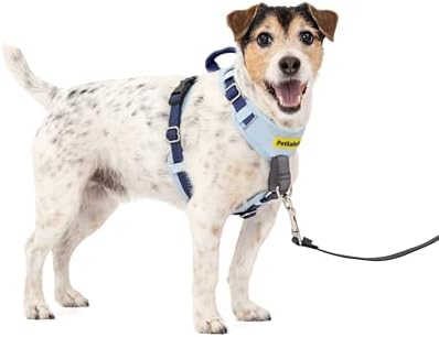 PetSafe Easy Walk Comfort No Pull Dog Harness, Blue, Small by PetSafe