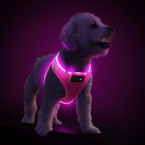 PcEoTllar Light Up Dog Harness, for Night Walking, Adjustable, Pink, M by PcEoTllarPetSupplies