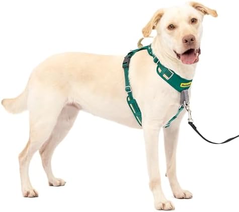 PetSafe Easy Walk Comfort No Pull Dog Harness, Green, Large by PetSafe