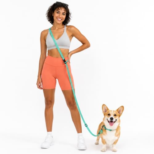 Kazazoo Hands-Free Dog Leash Adjustable Length 5-8 Ft,Crossbody & Waist for Dog Walking, Running for Small Dogs with Reflective Strips, Ballistic Nylon, Waist Belt, Lightweight Green by Kazazoo