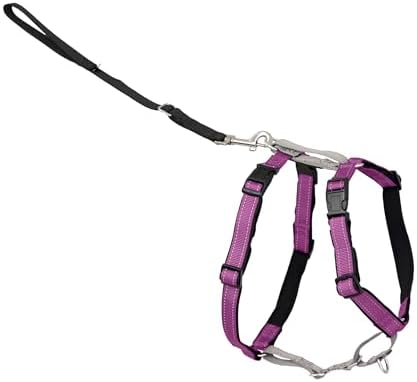 PetSafe Easy Walk 3 in 1 No Pull Dog Harness, Plum, Medium by PetSafe
