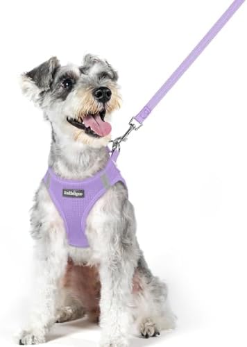 rabbitgoo Dog Harness Medium Sized and Leash Set, Step-in Puppy Pet Vest by rabbitgoo