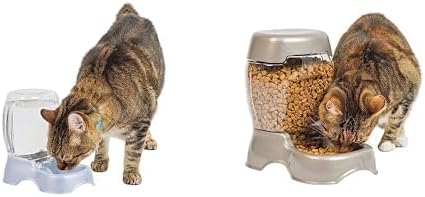 Petmate Pet Cafe Bundle: .25 GAL Water Dispenser in Pearl Ash Blue with Matching Pearlescent Pet Feeder - Cat and Dog Food & Water Station Set by Unknown