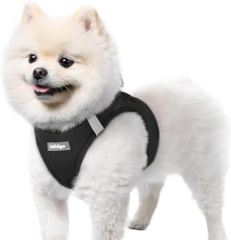 rabbitgoo Step-in Small Dog Harness, Puppy Vest for Small Sized Pet by rabbitgoo