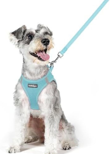 rabbitgoo Dog Harness Medium Sized and Leash Set, Step-in Puppy Pet Vest by rabbitgoo