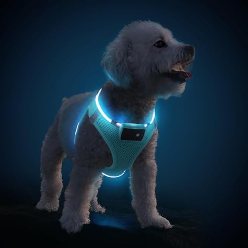 PcEoTllar Light Up Dog Harness, for Night Walking, Adjustable, Blue, XS by PcEoTllarPetSupplies
