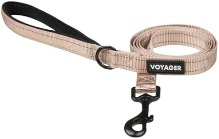 Best Pet Supplies Voyager Nylon Dog Leash - Khaki, Small by BestPetSuppliesLLC