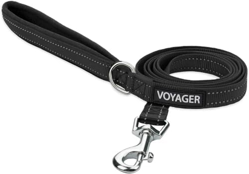 Best Pet Supplies Voyager Nylon Dog Leash - Black, Medium by BestPetSuppliesLLC