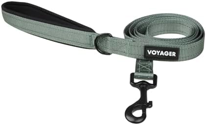 Best Pet Supplies Voyager Nylon Dog Leash - Moss Green, Small by BestPetSuppliesLLC