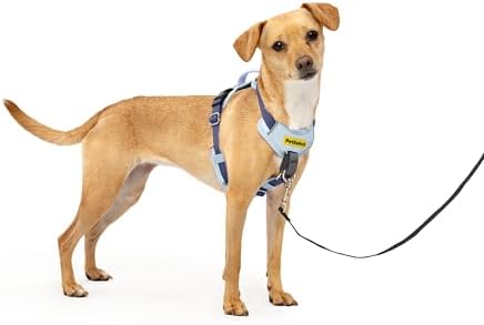 PetSafe Easy Walk Comfort No Pull Dog Harness, Blue, Extra Small by PetSafe