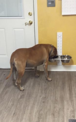 Adjust-a-Bowl Pet Feeder - Image 4