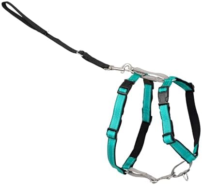 PetSafe Easy Walk 3 in 1 No Pull Dog Harness, Teal, Extra Small by PetSafe