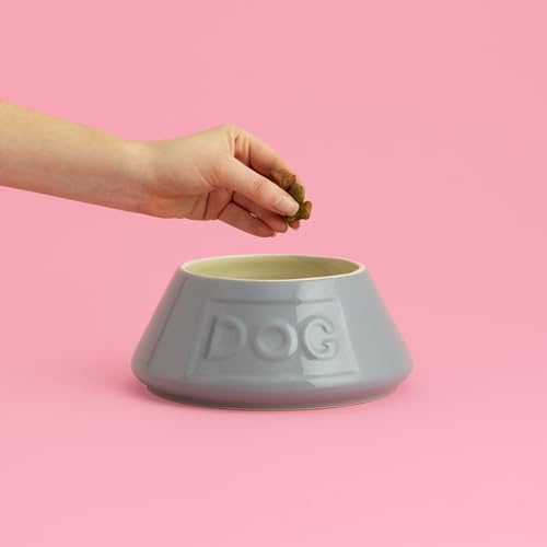 Mason Cash Non-Tip Dog Bowl - 54oz Grey Ceramic Angled Pet Food Water Dish - Image 2