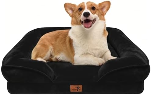 Spotted Play Orthopedic Dog Bed with Sides - Sofa Beds for Small Dogs, Supportive Foam Pet Couch Bed with Washable Removable Cover, Waterproof Lining and Non-Slip Bottom, Black - S by Spotted+Play