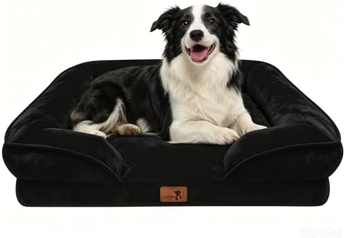 Spotted Play Orthopedic Dog Bed with Sides - Sofa Beds for Large Dogs, Supportive Foam Pet Couch Bed with Washable Removable Cover, Waterproof Lining and Non-Slip Bottom, Black - L by Spotted+Play