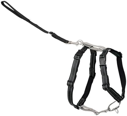 PetSafe 3 in 1 No-Pull Dog Harness - Walk, Train or Travel - Helps Prevent Pets from Pulling on Walks - Seatbelt Loop Doubles as Quick Access Handle - Reflective Accents - Large, Black by PetSafe