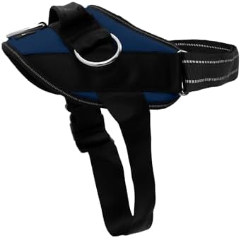 ShawnCo Essential Dog Harness, No-Pull Pet Vest (Pacific Blue,L) by SHAWNCO
