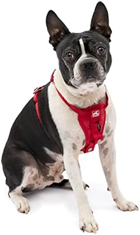 Kurgo Enhanced Strength Tru-Fit Dog Car Harness - Crash Tested for Safety - Broad Chest Plate - All Steel Nested Buckles - Includes Seatbelt Tether - Red - Small by Kurgo