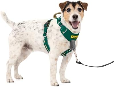 PetSafe Easy Walk Comfort No Pull Dog Harness, Green, Small by PetSafe
