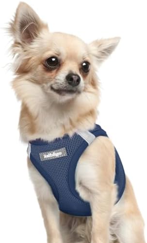 rabbitgoo Step-in Small Dog Harness, Puppy Vest for Small Sized Pet by rabbitgoo