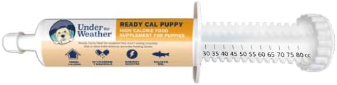 Under the Weather Pet | Ready Cal for Puppy | High Calorie Pet Nutritional Supplement for Weight Gain & Healthy Weight Maintenance | 10 Vitamins, 7 Minerals, Omega Fatty Acids & Carbohydrates | 80cc by UndertheWeather