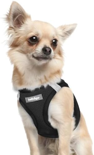rabbitgoo Step-in Small Dog Harness, Puppy Vest for Small Sized Pet by rabbitgoo