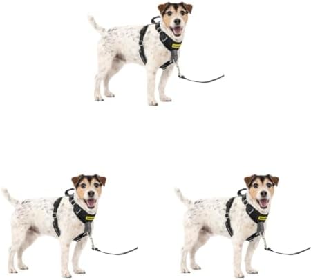 PetSafe Easy Walk Comfort No Pull Dog Harness, Black, Small (Pack of 3) by PetSafe