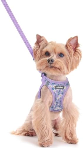rabbitgoo Dog Harness Small Sized and Leash Set, Step-in Puppy Pet Vest by rabbitgoo