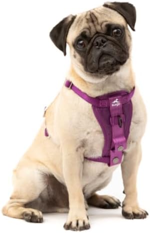 Kurgo Enhanced Strength Tru-Fit Smart Harness, Deep Violet, Small - Image 3
