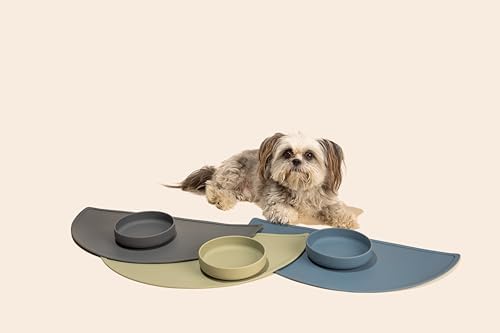 The Perfect Dish - Silicone Dog Bowl for Food & Water, 6" x 1.25"-Sage - Image 6
