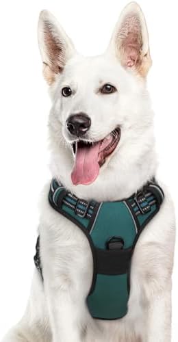 Eagloo Dog Harness for Large Dogs, No Pull Pet Vest with 2 Leash Clips by GoExplorewithEagloo