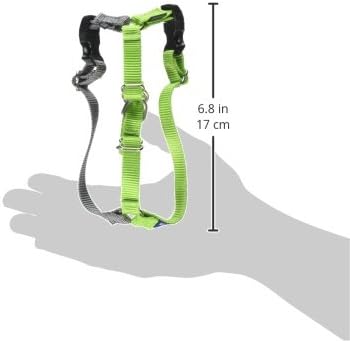 PetSafe Easy Walk Harness for Dogs - Pull-Free Walks - Patented Martingale Loop Design - Front Chest Leash Attachment - Comfort Straps - Breathable Harness Design - Petite/Small, Apple Green/Gray - Image 2
