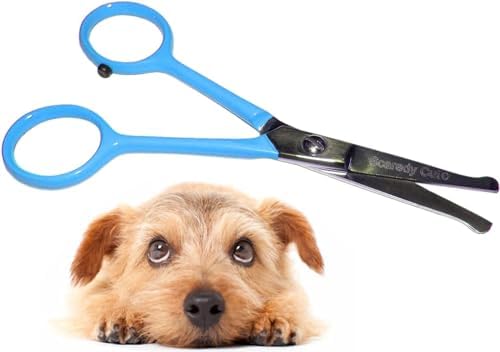 Tiny Trim 4.5" Ball-Tipped Scissor for Dog, Cat and all Pet Grooming - Ear, Nose, Face & Paw - Scaredy Cut's small Safety Scissor Blue by ScaredyCut