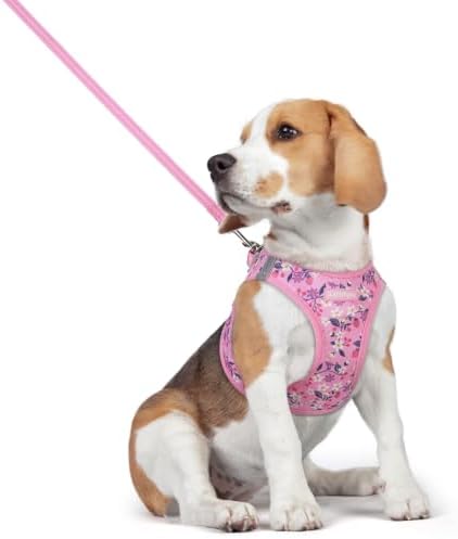 rabbitgoo Dog Harness Medium Sized and Leash Set, Step-in Puppy Pet Vest by rabbitgoo