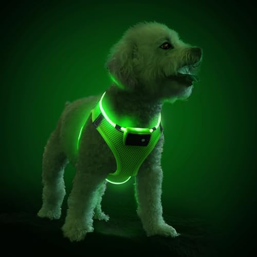 PcEoTllar Light Up Dog Harness, for Night Walking, Adjustable, Green, L by PcEoTllarPetSupplies