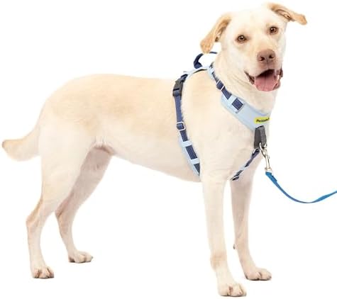PetSafe Easy Walk Comfort No Pull Dog Harness, Blue, Large by PetSafe