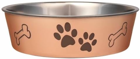 Loving Pets Bella Dog Bowls- Stainless Steel Dog & Cat Bowls - Spill Proof Dog Food Bowl, Cat Bowl, Puppy Essentials & Pet Supplies Great for Home & Travel (Large 35-65 lbs, Champagne) by Loving+Pets