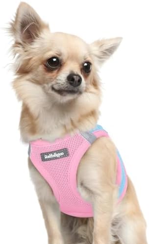 rabbitgoo Step-in Small Dog Harness, Puppy Vest for Small Sized Pet by rabbitgoo