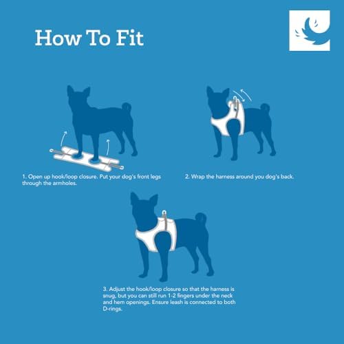 RC Pet Products Cirque Soft Walking Step-in Dog Harness, Pineapple Parade, Medium - Image 4