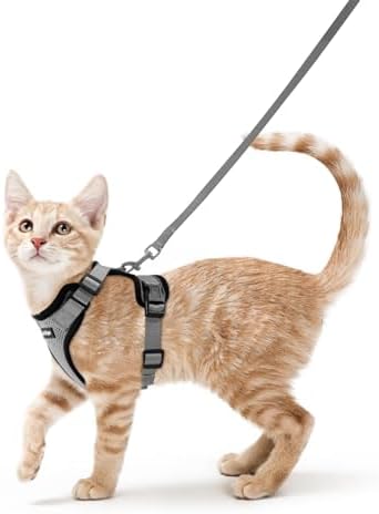 rabbitgoo Cat Harness and Leash Set, Escape Proof Vest, Grey by rabbitgoo