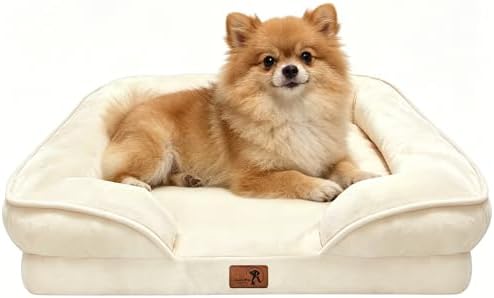 Spotted Play Orthopedic Dog Bed with Sides - Sofa Beds for Small Dogs, Supportive Foam Pet Couch Bed with Washable Removable Cover, Waterproof Lining and Non-Slip Bottom, Ivory - S by Spotted+Play