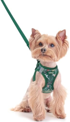 rabbitgoo Dog Harness Small Sized and Leash Set, Step-in Puppy Pet Vest by rabbitgoo