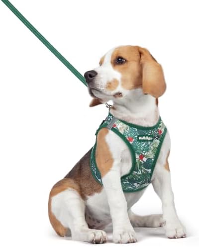 rabbitgoo Dog Harness Medium Sized and Leash Set, Step-in Puppy Pet Vest by rabbitgoo