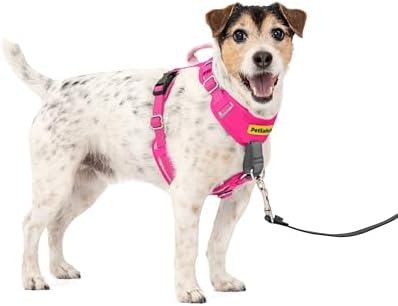 PetSafe Easy Walk Comfort No Pull Dog Harness, Pink, Small by PetSafe