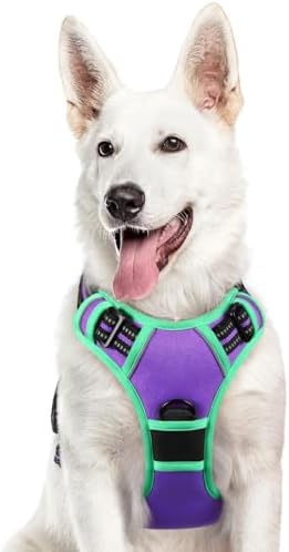 Eagloo Dog Harness for Large Dogs, No Pull Pet Vest with 2 Leash Clips by GoExplorewithEagloo