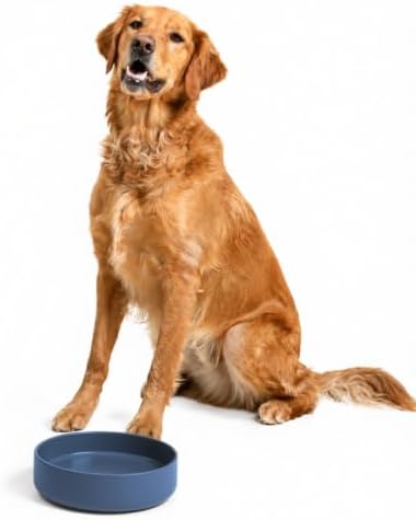 The Perfect Dish - Silicone Dog Bowl for Food & Water, 9.5"x2.5"-Ocean Blue by ShouldWeGo