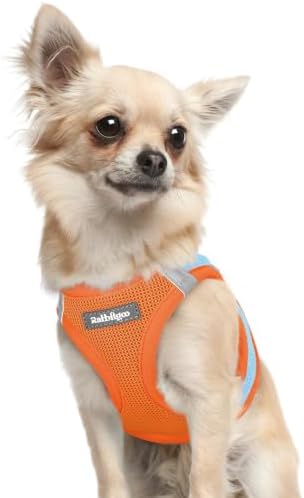 rabbitgoo Step-in Small Dog Harness, Puppy Vest for Small Sized Pet by rabbitgoo